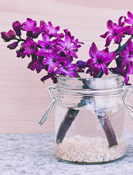 网站攻击软件工具