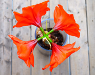 cc攻击免费网页版